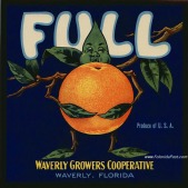 FULL Citrus Label, WAVERLY, Florida