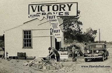 Whaley's Indian River, Victory Groves Photograph