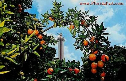 Though the Citrus Tower still stands today, the scenery is of the Past