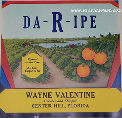 DA-R-IPE - Scarce CENTER HILL, FLORIDA Label