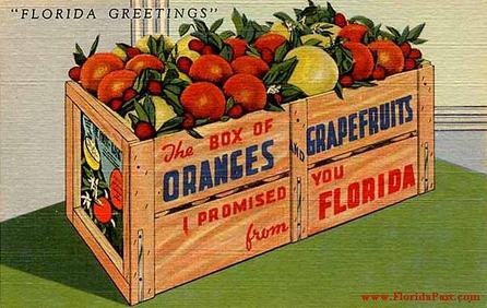 Usually sent to a relative of a FloridaPast Tourist, along with a crate of Oranges or Grape Fruit