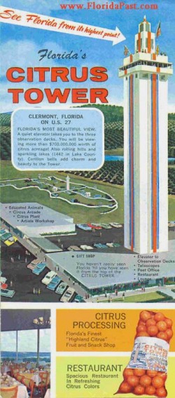 There was a time in FloridaPast when a visitor could view miles of citrus groves from the tower