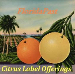 Click to Pick a FloridaPast Citrus or Produce Label