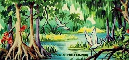MOTHER NATURE - Always at Her Finest in the Everglades of FloridaPast