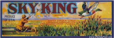 SKY KING CITRUS LABEL - WINTER GARDEN, FLORIDA
