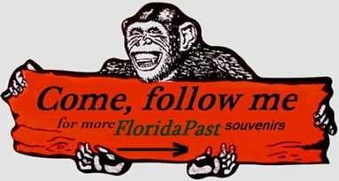 peeest....... Ya'll like FloridaPast Souvenir Jewelry? Follow me, and The Chipster will show Ya'll
