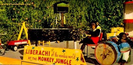 I'm the Star of Monkee JunGLe! And don't forget that, Ya'll hea'? Hey, over there, I'm talkin' to u with the BIG LIPS