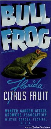 BULL FROG - CITRUS FRUIT LABEL - WINTER GARDEN, FLORIDA