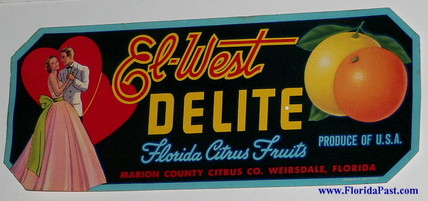 Tavares,FL-Triangle Brand Fruit Label-Lake Region Packing Assoc-Lake County,FL 