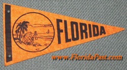 Miniature Florida Felt Pennant