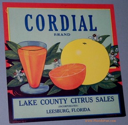 A very Straight Forward Image! Excellent Depiction of FloridaPast Citrus Industry!