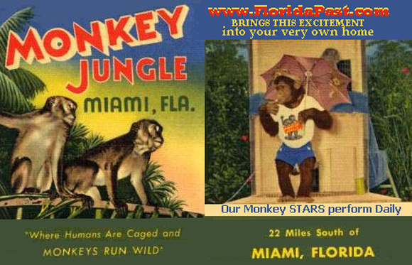 Come right on in Folks, and Enjoy the Show! Our Monkeys... and Chimps, will Perform for you Anytime Day or Night! Just leave em' a Donation, ok? Thank Ya'll for stop'in visit'in