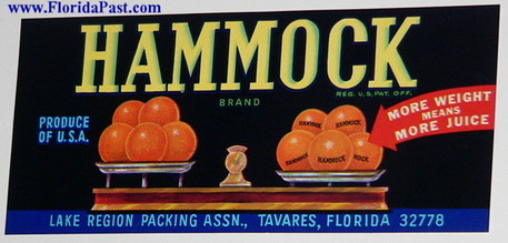 HAMMOCK BRAND Citrus Label - TAVARES, FLORIDA