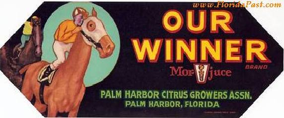 OUR WINNER - MOR-JUCE - CITRUS LABEL - PALM HARBOR, FLORIDA