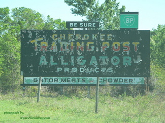 ALLIGATOR PRODUCTS - One of FloridaPast's most Famous Attractions for the Northerners
