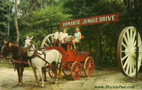 FloridaPast - JUNGLE DRIVE - Suwanee River on U.S. Highway 19, 98 & Alt. 127.