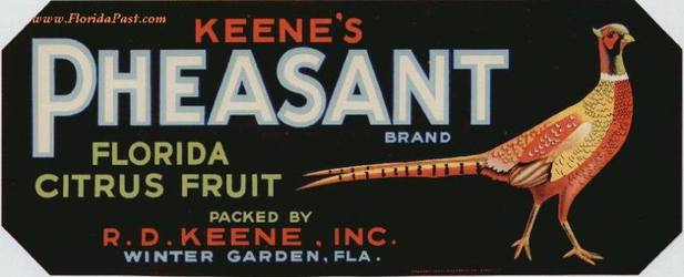 KEENE'S PHEASANT BRAND Citrus Label - WINTER GARDEN, FLORIDA