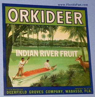 Now where do you think those Seminole Indians are bringing that canoe full of FloridaPast Oranges??