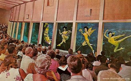 Would you look at ALL THOSE FOLKS, who were Enjoying the Mermaid Show of Weeki Wachee, FloridaPast
