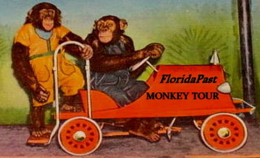 Give us a little push pleaze. And we'll all be on our way. Come on, follow us to Monkey-Villa