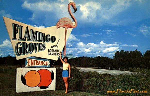 Click on the Flamingo, Gently, and Go to where this Smiling Gal was