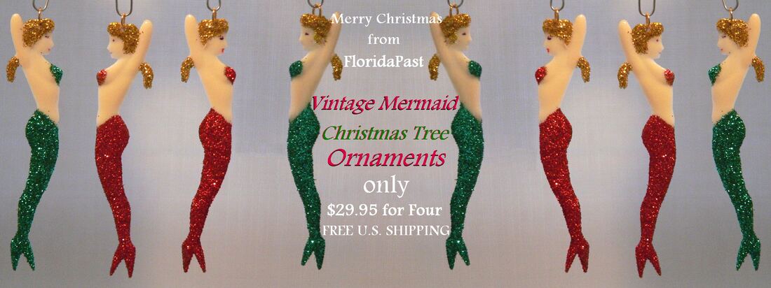 A Wonderful Christmas Gift for the True Florida Mermaid Lover